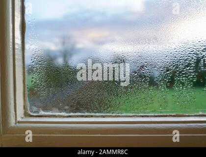 Condensation on a window pane Stock Photo
