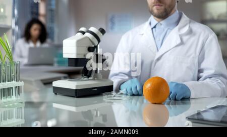 Researcher analyzing orange sample in laboratory, genetically modified food Stock Photo
