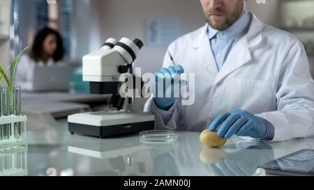 Agronomists in laboratory breeding new varieties of potatoes, doing experiments Stock Photo