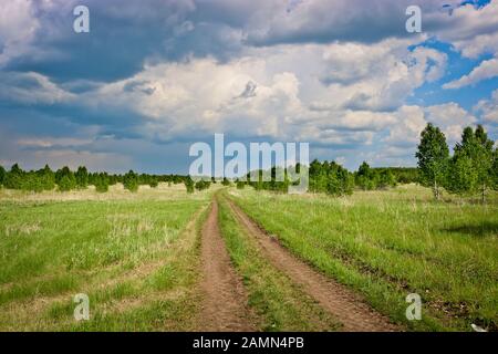 Field dirt road among fields and young growth of birches under low thunderclouds. Travel concept by bike or on foot. Stock Photo