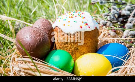Close-up of sweet Easter cakes with colorful eggs among spring grass. Concept of easter traditional and holiday Stock Photo