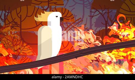 cockatoo sitting on branch forest fires in australia animal dying in wildfire bushfire burning trees natural disaster concept intense orange flames horizontal vector illustration Stock Vector