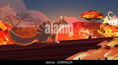 numbat escaping from fires in australia animals dying in wildfire bushfire natural disaster concept intense orange flames horizontal vector illustration Stock Vector
