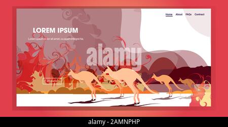 kangaroo running from forest fires in australia animals dying in wildfire bushfire natural disaster concept intense orange flames horizontal copy space vector illustration Stock Vector