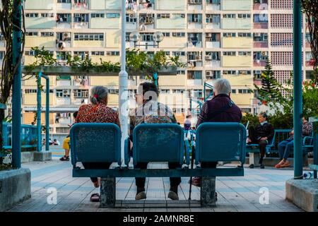 Three older women on bench from behind, old people sitting on bench Stock Photo