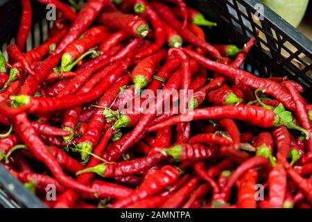Closeup of many small raw vibrant colorful red color hot chili peppers in plastic crate box stall on display at farmers market in Florence, Italy Stock Photo