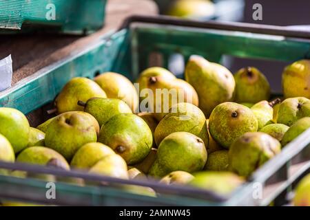 Closeup of many green raw colorful pears in crate stall on display at farmers market in Pimlico, London Stock Photo