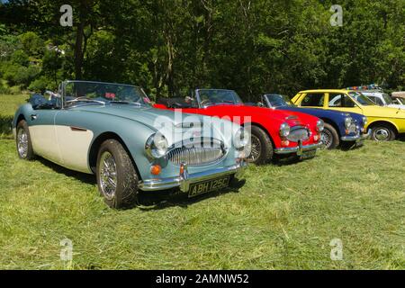 Line up of Austin Healey 3000 Mark 3 sports cars an iconic classic British automobile built from 1959 to 1967 in Glyndyfrdwy North Wales Stock Photo