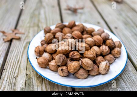 Closeup on wooden background and pile of raw pecan nuts pile ingredient foraged in autumn on plate in shells Stock Photo