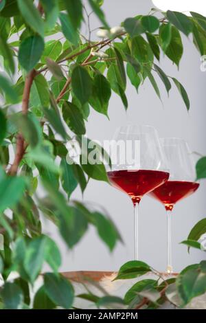 Two glasses of red wine on wooden table in modern kitchen, framed green leaves of tree. Vertical. Copyspace. Concept place for text, lettering, tastin Stock Photo