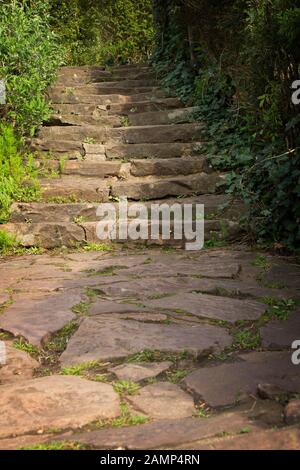 Steps leading to Cabot Tower a grade II listed building built in the 1890s, situated in a public park on Brandon Hill, between the city centre, Clifto Stock Photo