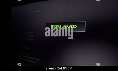 Access granted on screen, computer criminal hacking website, successful attempt Stock Photo