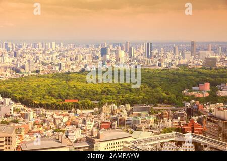 Tokyo, Japan - aerial view of Shinjuku and Shibuya districts with famous Yoyogi Park. Modern city. Stock Photo