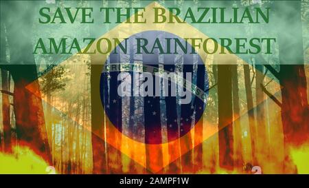 Raging pinewood forest fire with caption to save the Brazilian Amazon Rainforest from destruction and Brazilian flag in the background Stock Photo