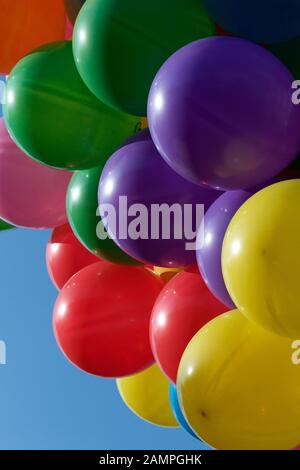 Multi-coloured party balloons pictured against a blue sky. Stock Photo