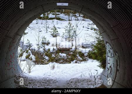 View of a snowy forest from a tunnel under a highway in a suburb of the city of Jyvaskyla in Finland. Stock Photo