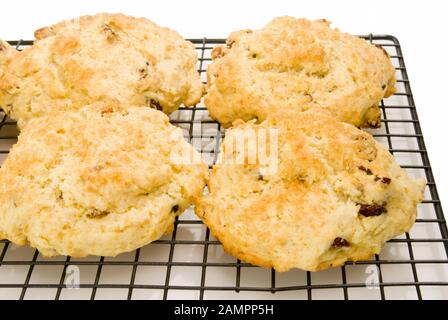 Homemade berry fruit scones hot out of the oven on a kitchen cooling rack. Stock Photo
