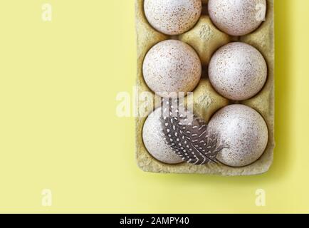 Ten turkey eggs in a tray on a yellow background. Minimalist style. Flat lay. Stock Photo