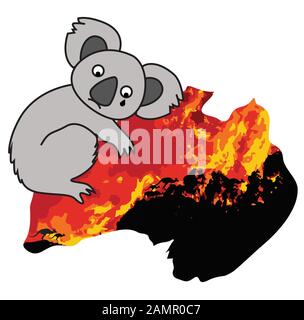 Koala which is crying hugs Austraila map Stock Photo