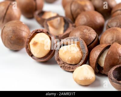 Set of macadamia nuts on white background with copy space. Set of macadamia nuts - whole unshelled, with open shells, and shelled. Isolated on white. Copy space for text. Stock Photo