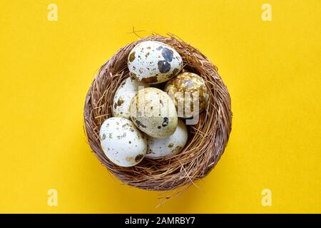 Easter nest with fragile speckled or spotted quail eggs on yellow for use as an easter background or spring background. Stock Photo