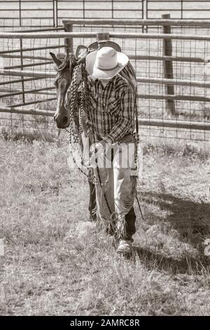 WY04091-00-BW...WYOMING - Cowboy on the Willow Creek Ranch Stock Photo