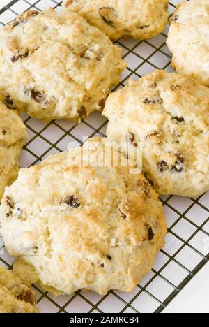 Hot homemade berry fruit scones cooling on a kitchen cooling rack. Stock Photo