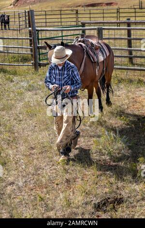 WY04092-00...WYOMING - Cowboy on the Willow Creek Ranch Stock Photo
