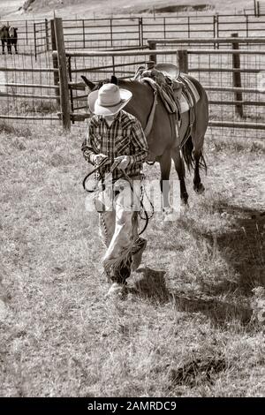WY04092-00-BW...WYOMING - Cowboy on the Willow Creek Ranch Stock Photo