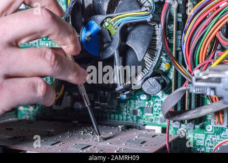 Close-up of professional equipment master repairing computer software. The hand of a master with a screwdriver repairs microcircuit technology. Cleani Stock Photo