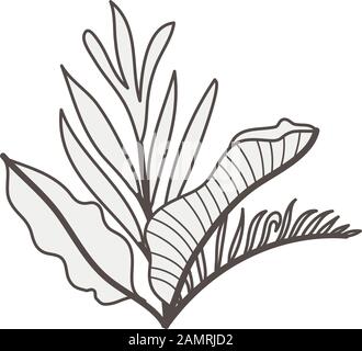 heliconia flower tropical plant with leafs and anchor Stock Vector ...