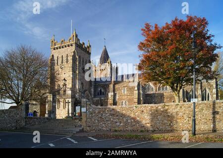 UK, Devon, Ottery St Mary, St Mary's Church. Stock Photo