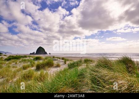 Haystack Rock and beach grass on sand dune; Cannon Beach, Oregon Coast. Stock Photo