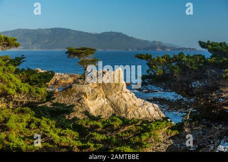 View of Carmel Bay and Lone Cyprus at Pebble Beach, 17 Mile Drive, Peninsula, Monterey, California, United States of America, North America Stock Photo