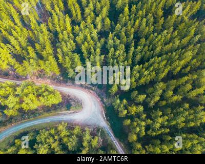 Aerial view of a road through an alpine forest, Mount Buffalo National Park, Myrtelford, Victoria, Australia Stock Photo