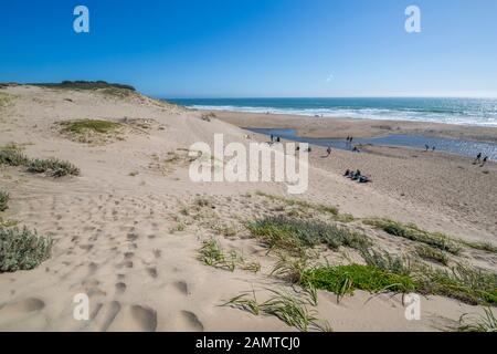 View of beach on Highway 1 near Davenport, California, United States of America, North America Stock Photo