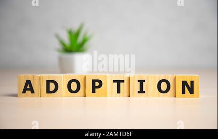 Word Adoption written on wooden blocks ob blue background. Famale concept. Stock Photo