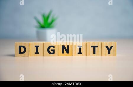 DIGNITY word made with building blocks. business concept Stock Photo