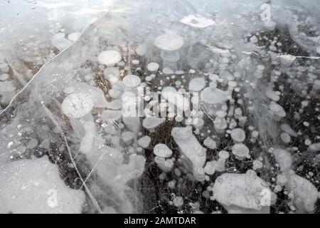 Trapped methane bubbles frozen into the water under the thick cracked and folded ice on Abraham Lake Stock Photo