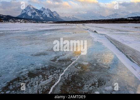 Trapped methane bubbles frozen into the water under the thick cracked and folded ice on Abraham Lake Stock Photo