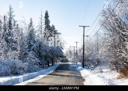 Freshly fallen snow covering tree branches along a cleared empty village street in Speculator, NY USA Stock Photo
