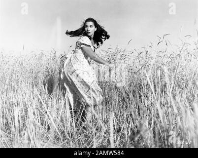 Anna Brazzou, Publicity Portrait for the Film, 'Bed of Grass' (Greek: Ayoupa or Agioupa to koritsi tou kampou), Parnassus Films Inc., 1957 Stock Photo