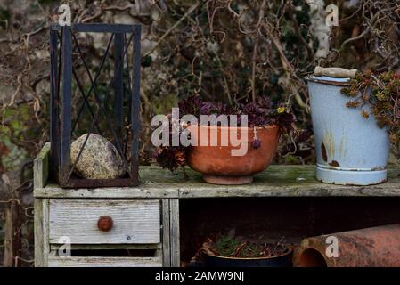 Still life in autumn with an old wooden desk with drawers, standing outside outdoors with pots and plants Stock Photo