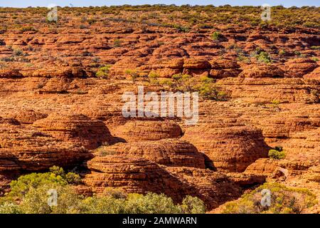 Beehive domes known as the Lost City along the Kings Canyon Rim Walk in the Northern Territory in central Australia Stock Photo