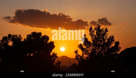 Sunset, sunrise colorful sky between trees. Pine trees  black silhouette against an orange color sky and sundown, wood forest landscape Stock Photo
