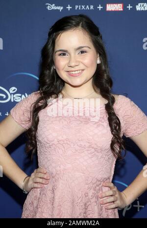 Hollywood, Ca. 14th Jan, 2020. Carmina Garay, at the Premiere Of Disney  's 'Diary Of A Future President' at the ArcLight Cinemas in Hollywood, California on January 14, 2020. Credit: Faye Sadou/Media Punch/Alamy Live News Stock Photo