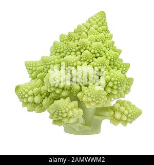 Roman cauliflower isolated on white background with clipping path Stock Photo