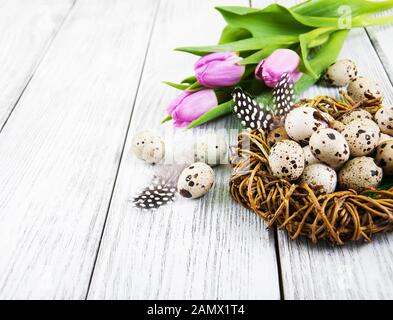 quail eggs in nest on a old wooden table Stock Photo