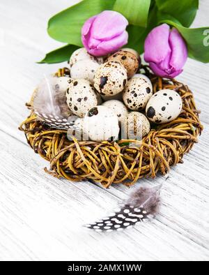 quail eggs in nest on a old wooden table Stock Photo