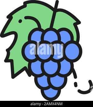 Vector bunch of grapes, fruit flat color line icon. Stock Vector